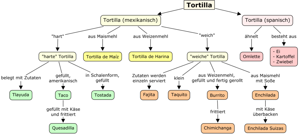 esempio mappa concettuale