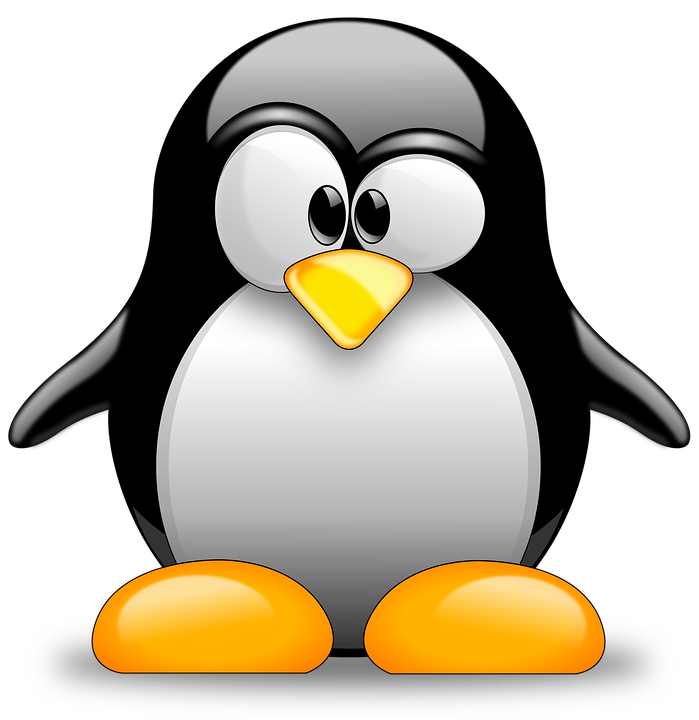 programmi per linux