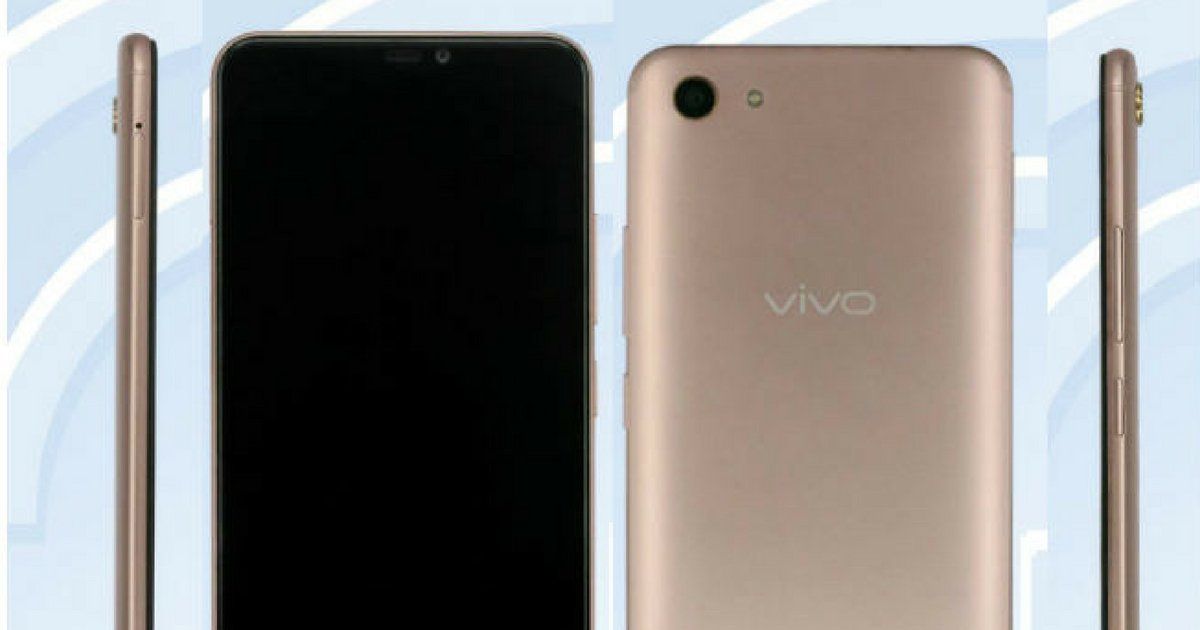 vivo tenaa