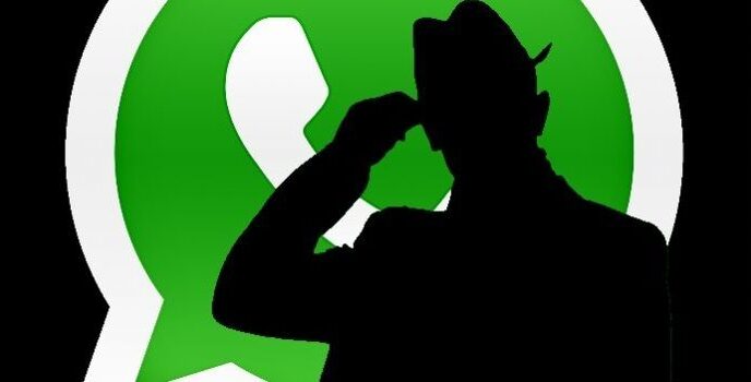 controllare WhatsApp senza apparire online