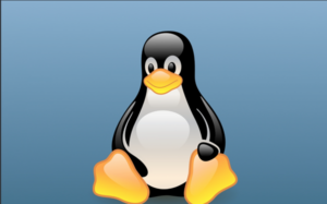 Come usare Linux su Chromebook