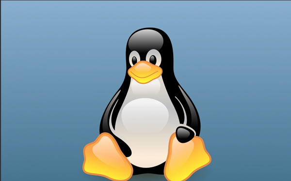 Почему выбирают ноутбук с Linux