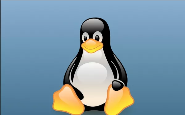 Perchè scegliere un portatile Linux