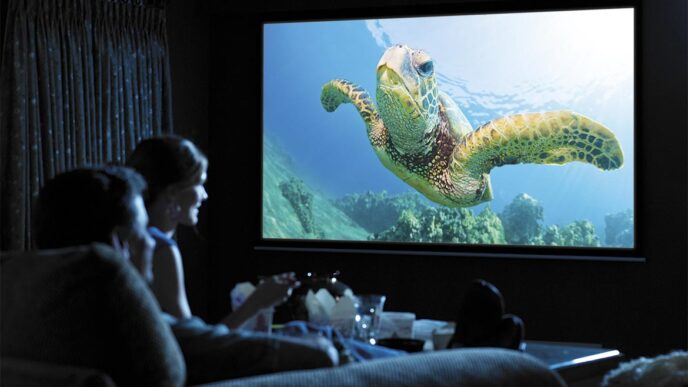 Migliori teli per vedere film e TV a casa