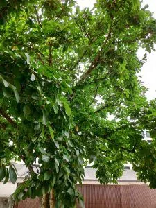 Recensione Xiaomi Mi 8 foto 3