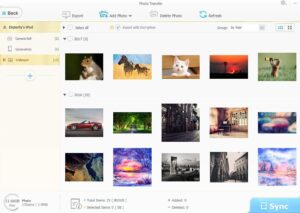 WinX MediaTrans foto