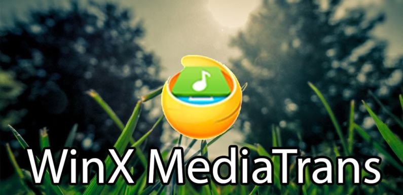 WinX-MediaTrans