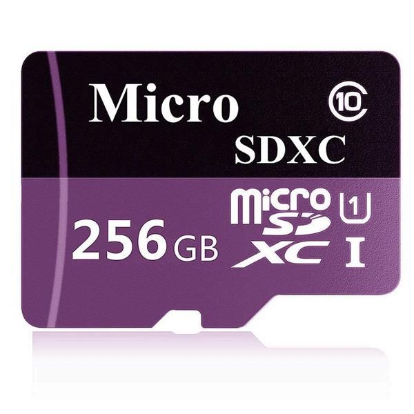 Migliori accessori Android che ti migliorano la vita: microSDXC da 256GB