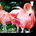 monitor Philips 272P7VPTKEB - immagine 2