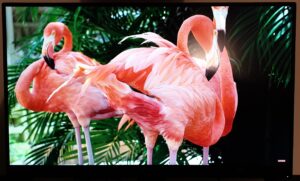 monitor Philips 272P7VPTKEB - immagine 2