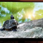 monitor Philips 272P7VPTKEB - immagine 3