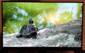 monitor Philips 272P7VPTKEB - immagine 3