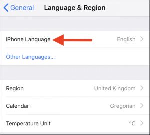 lingua iphone