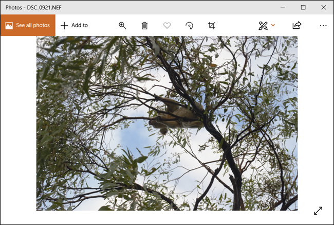 Una foto Raw aperta in Windows 10