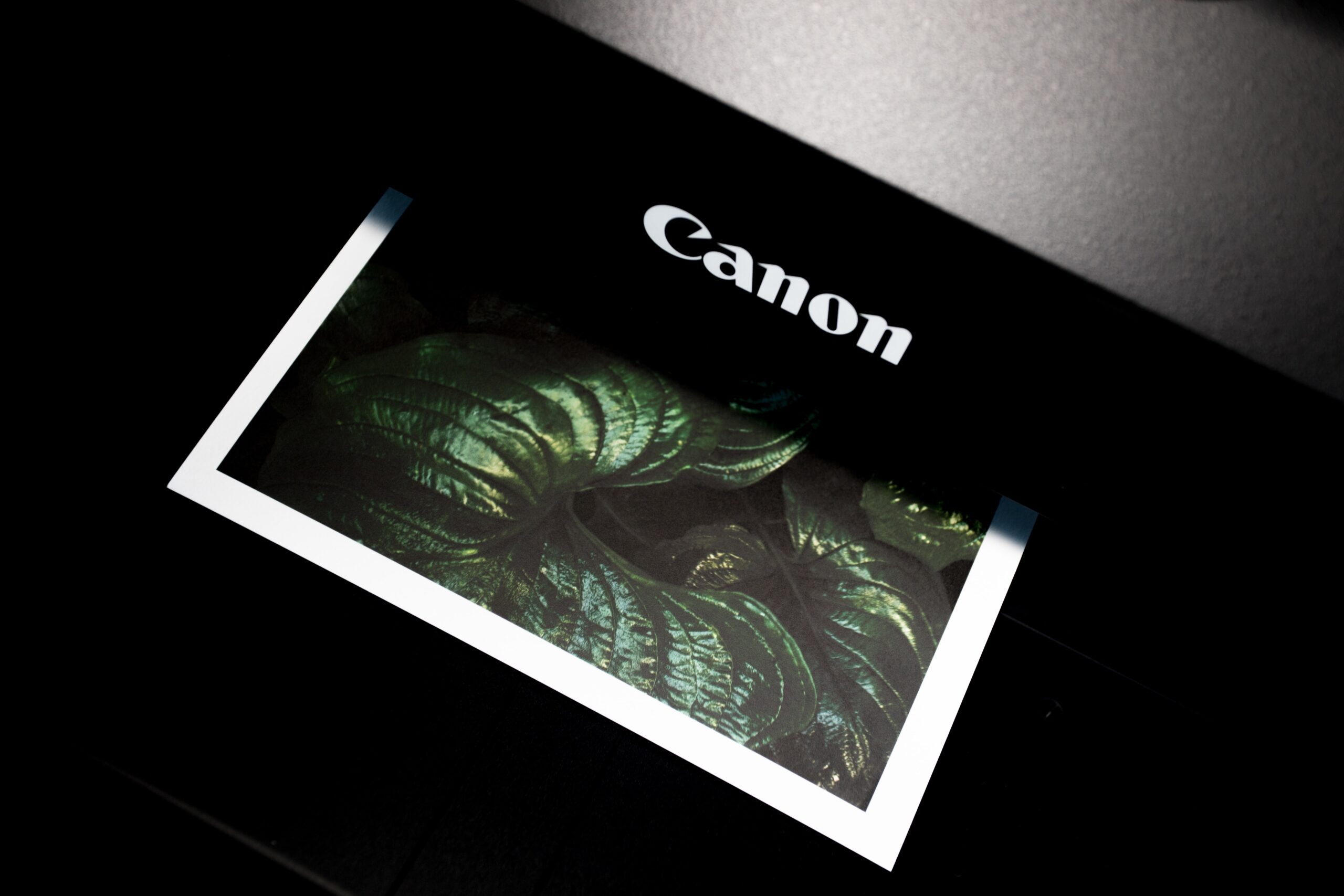 Le migliori stampanti: un prodotto Canon