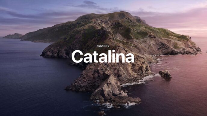 L'immagine principale di macOS Catalina