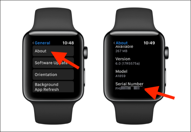 L'are "Informazioni" di Apple Watch