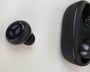 Tranya Rimor - auricole parte esterna