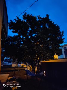 foto scattate da redmi note 9s - modalità notte mosso