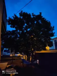 foto scattate da redmi note 9s - modalità notte mosso