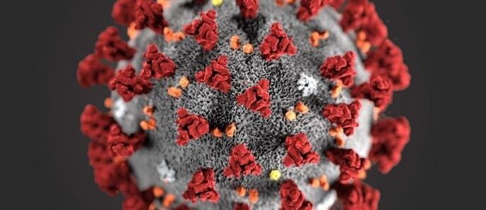 coronavirus huawei api