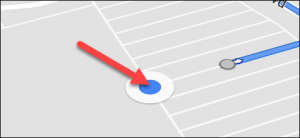 icona google map