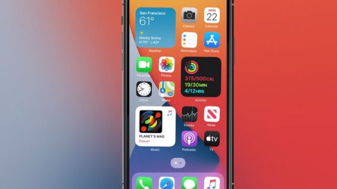 Widget Schermata Home