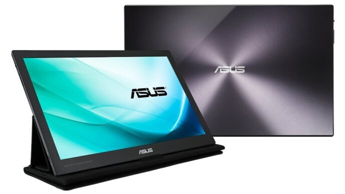 monitor esterni portatili