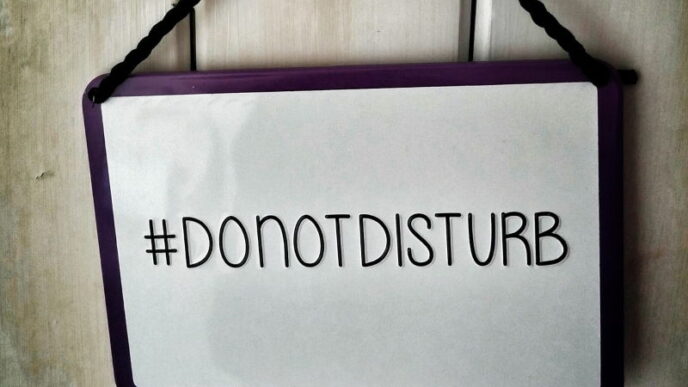 Modalità non disturbare