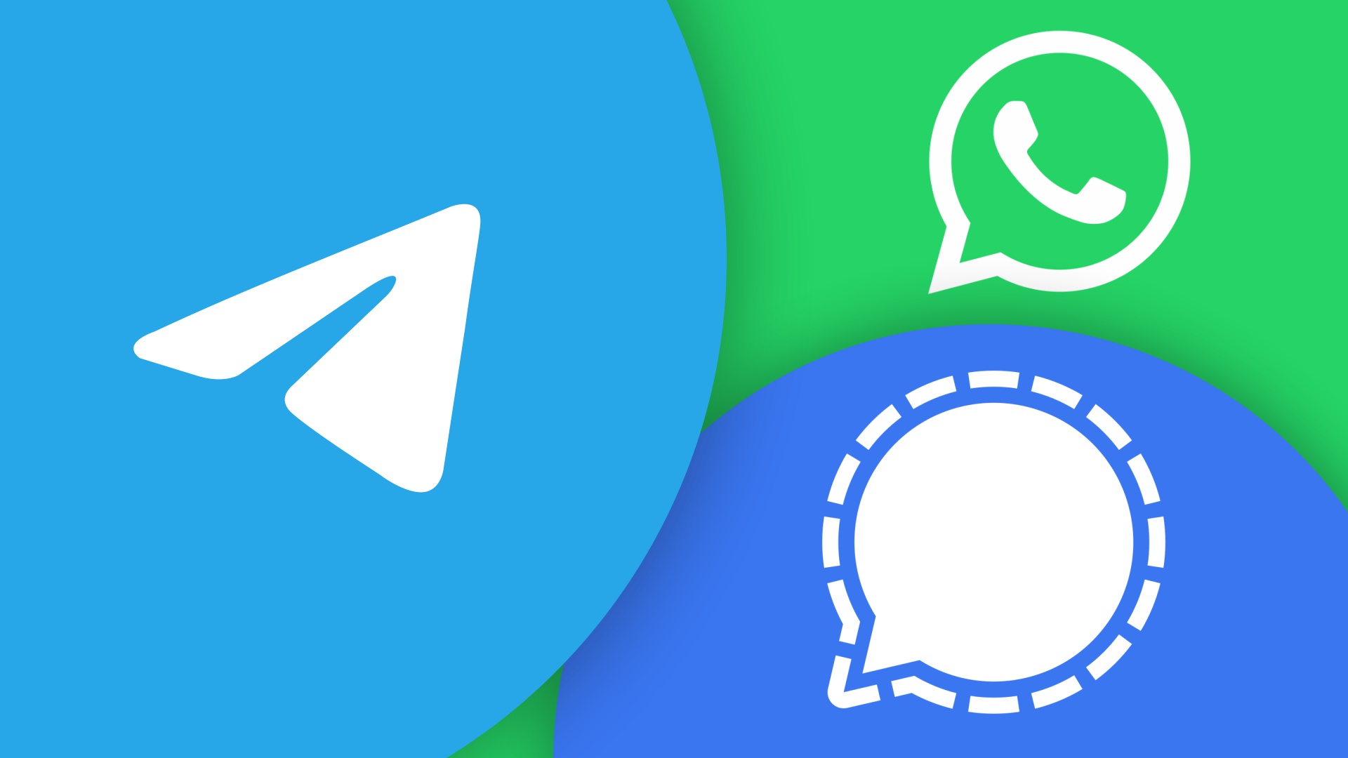 tm whatsapp telegram tm whatsapp telegram