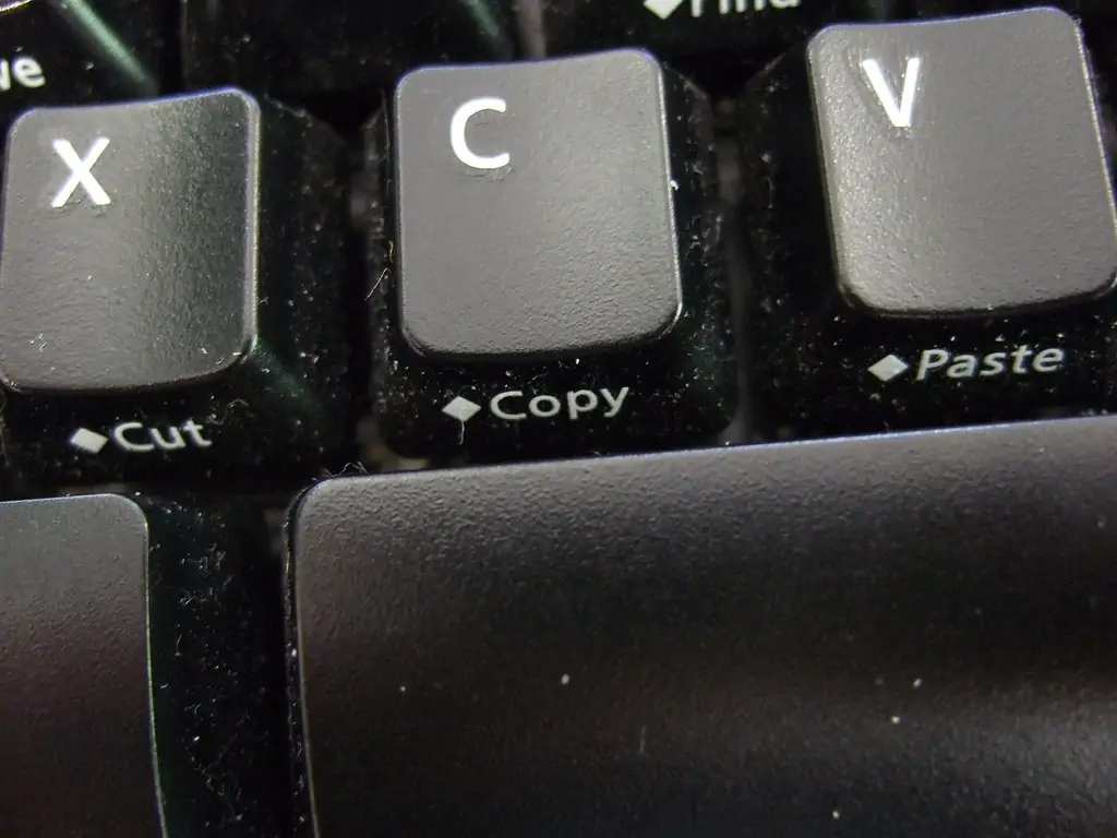 copia e incolla windows 10