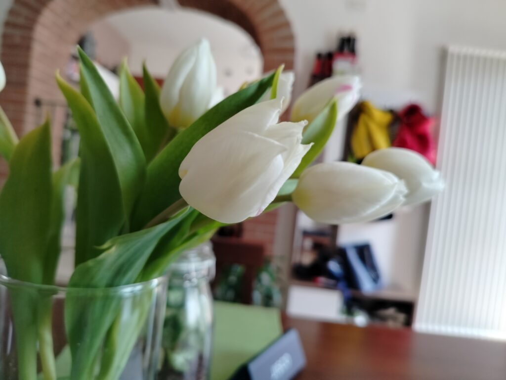 foto scattata con realme 4g - fiori 3