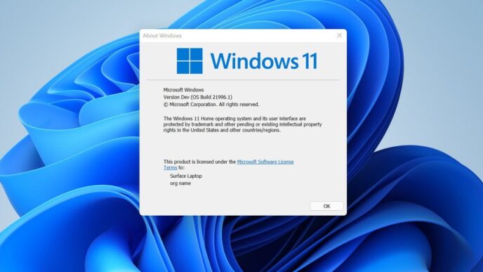 Licenza Windows 11