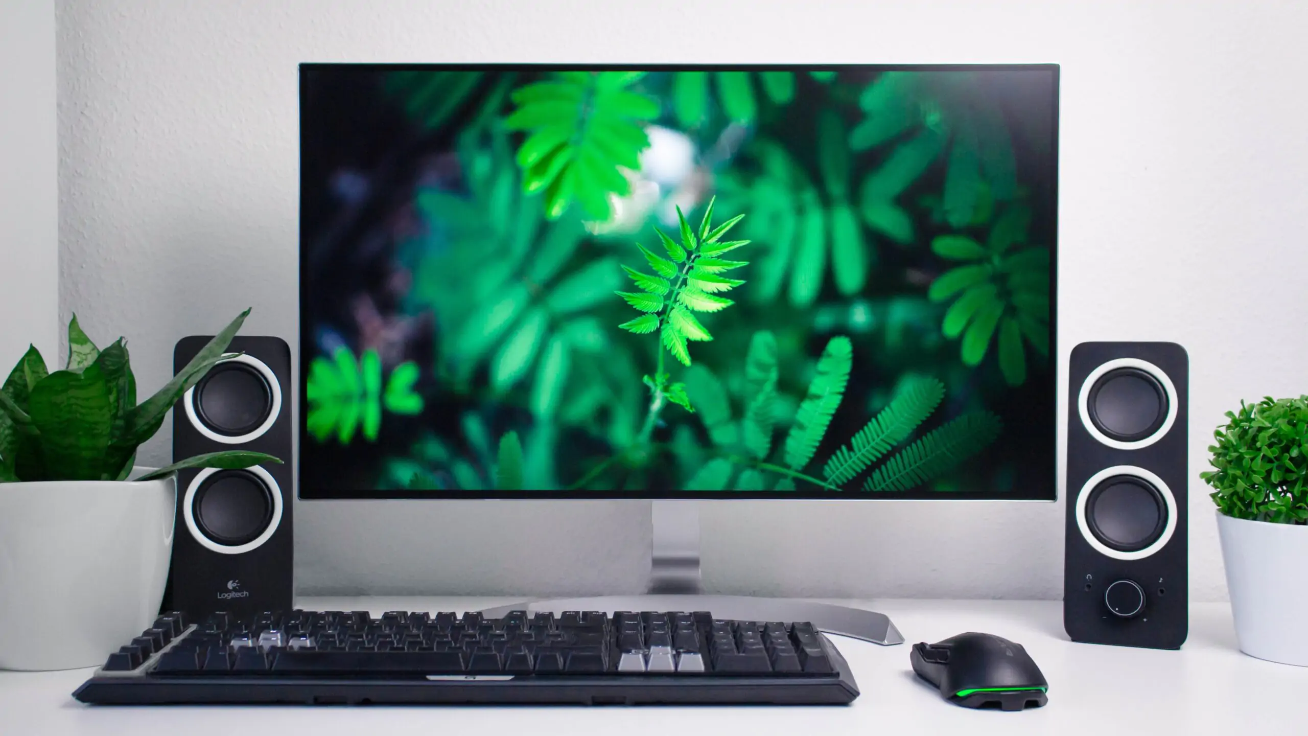 Monitor Generico