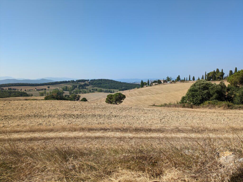 foto scattata con pixel 7a- natura 2