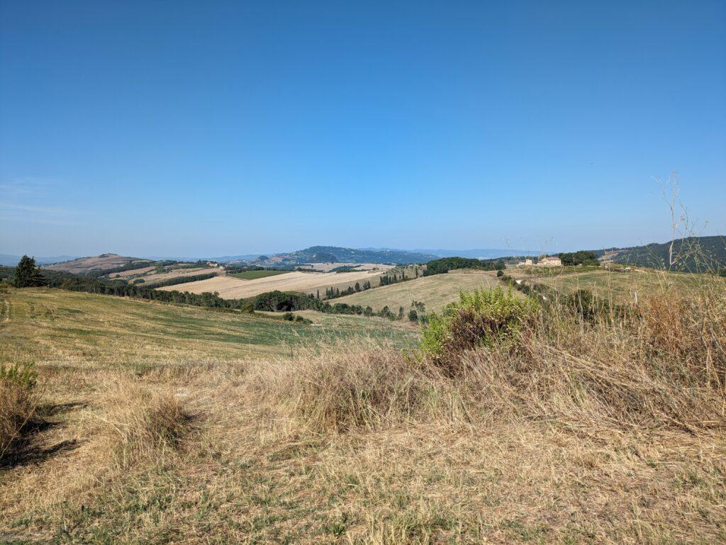 foto scattata con pixel 7a- natura 6