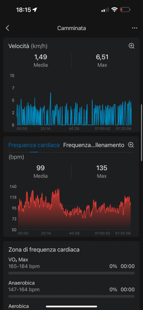 Recensione Amazfit Balance 2 - app zepp - dettagli allenamento