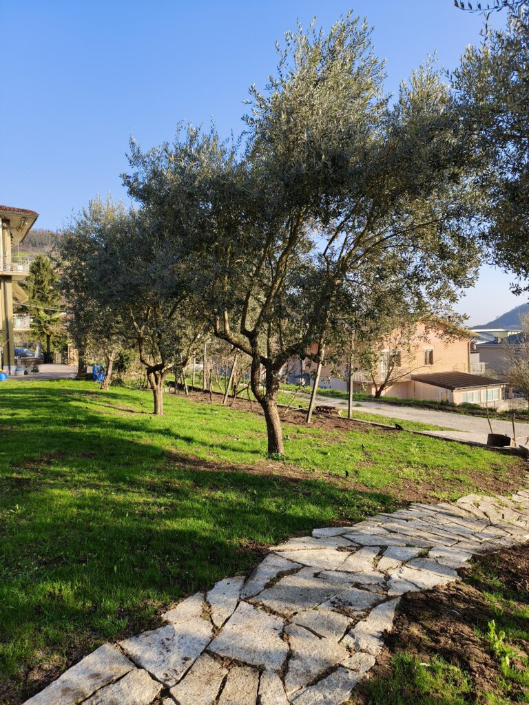 foto scattate con realme 16 Pro