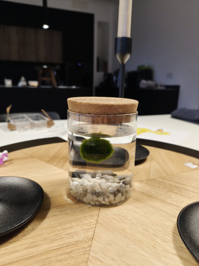 foto scattate con realme 16 Pro