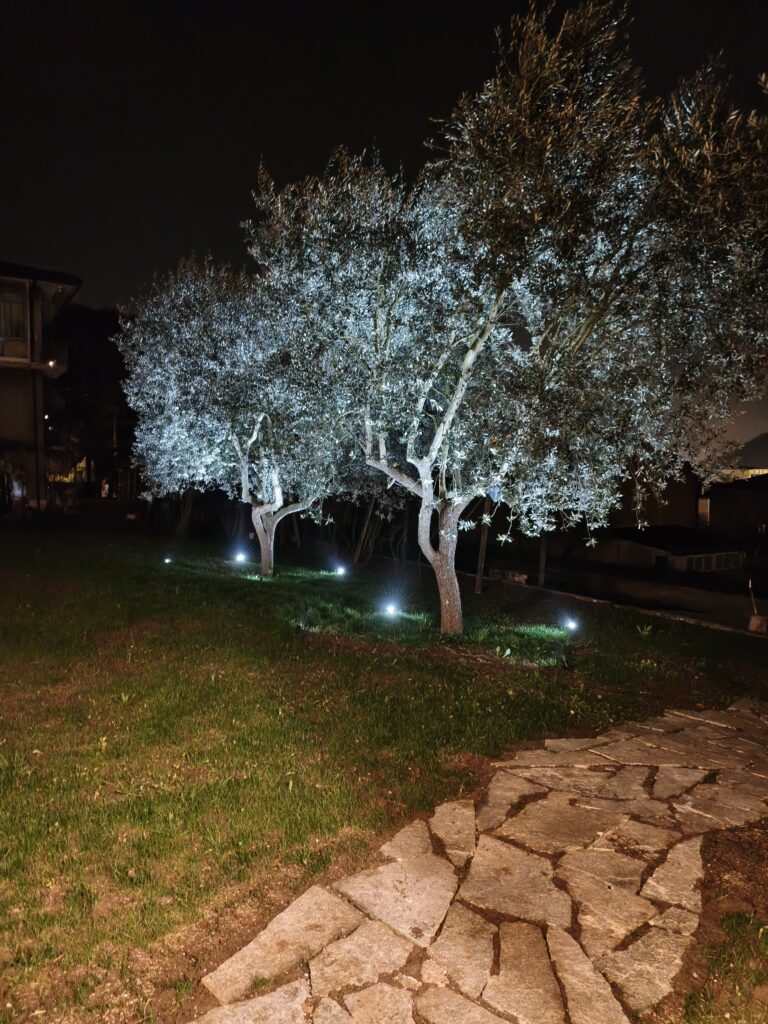 foto scattate con realme 16 Pro