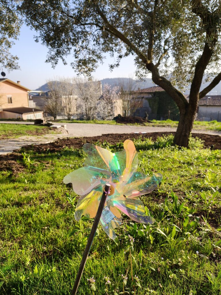 foto scattate con realme 16 Pro