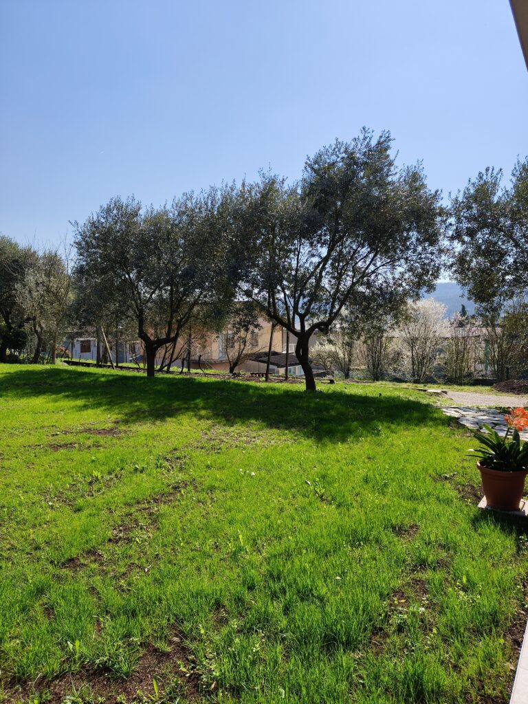 foto scattate con realme 16 Pro -6