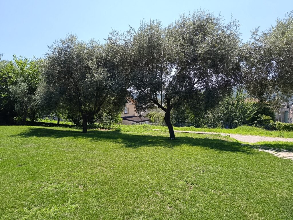 foto scattate con Redmi Note 15 Pro - giorno 1