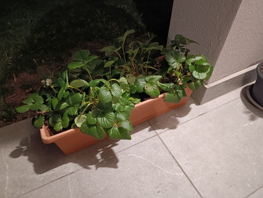 foto scattate con Redmi Note 15 Pro - notte 2