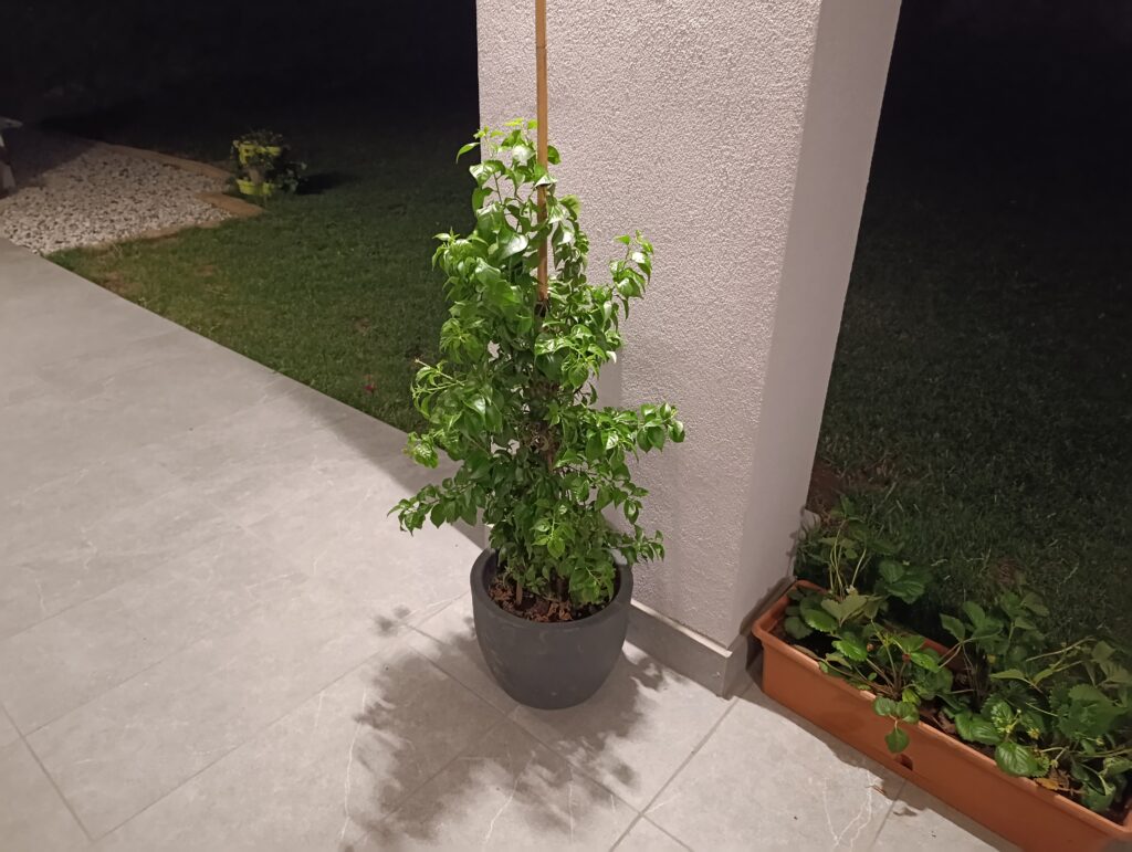 foto scattate con Redmi Note 15 Pro - notte 3